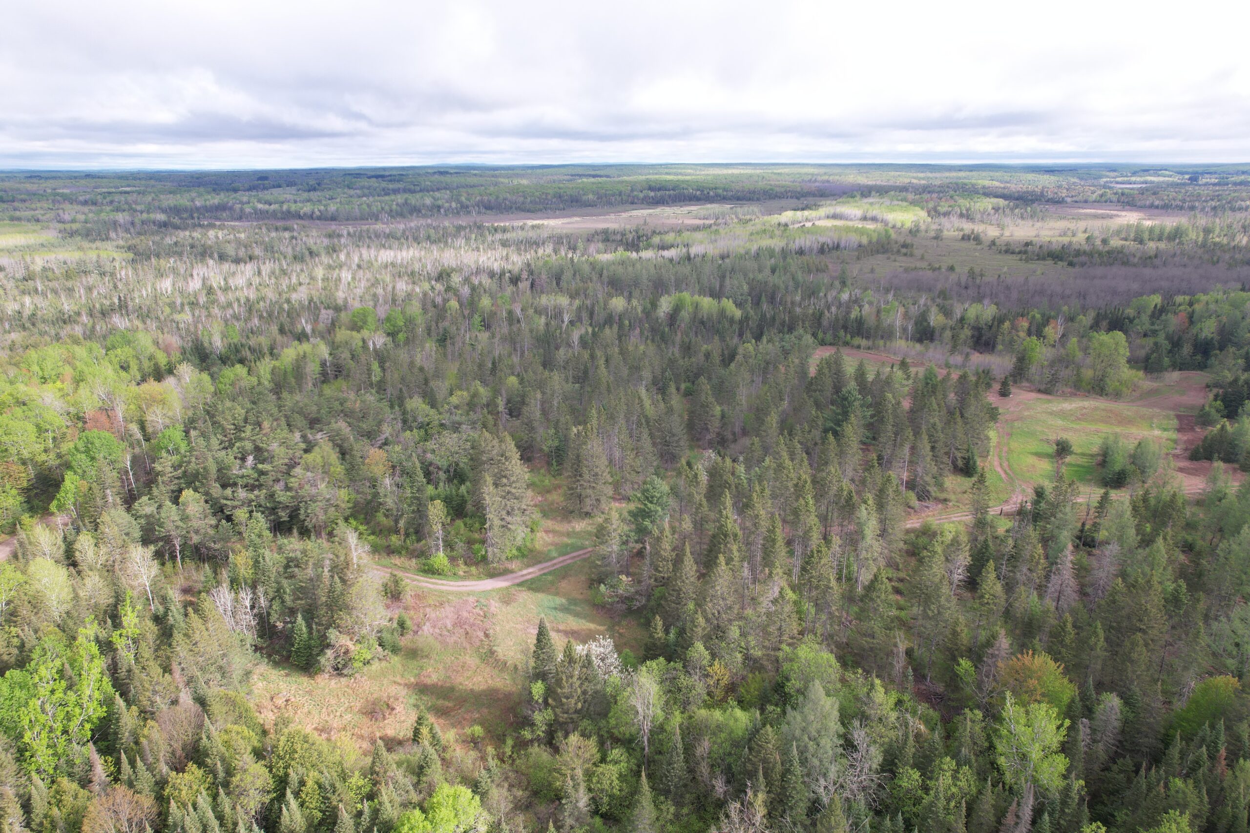 Acreage for Sale in Butternut, Wisconsin