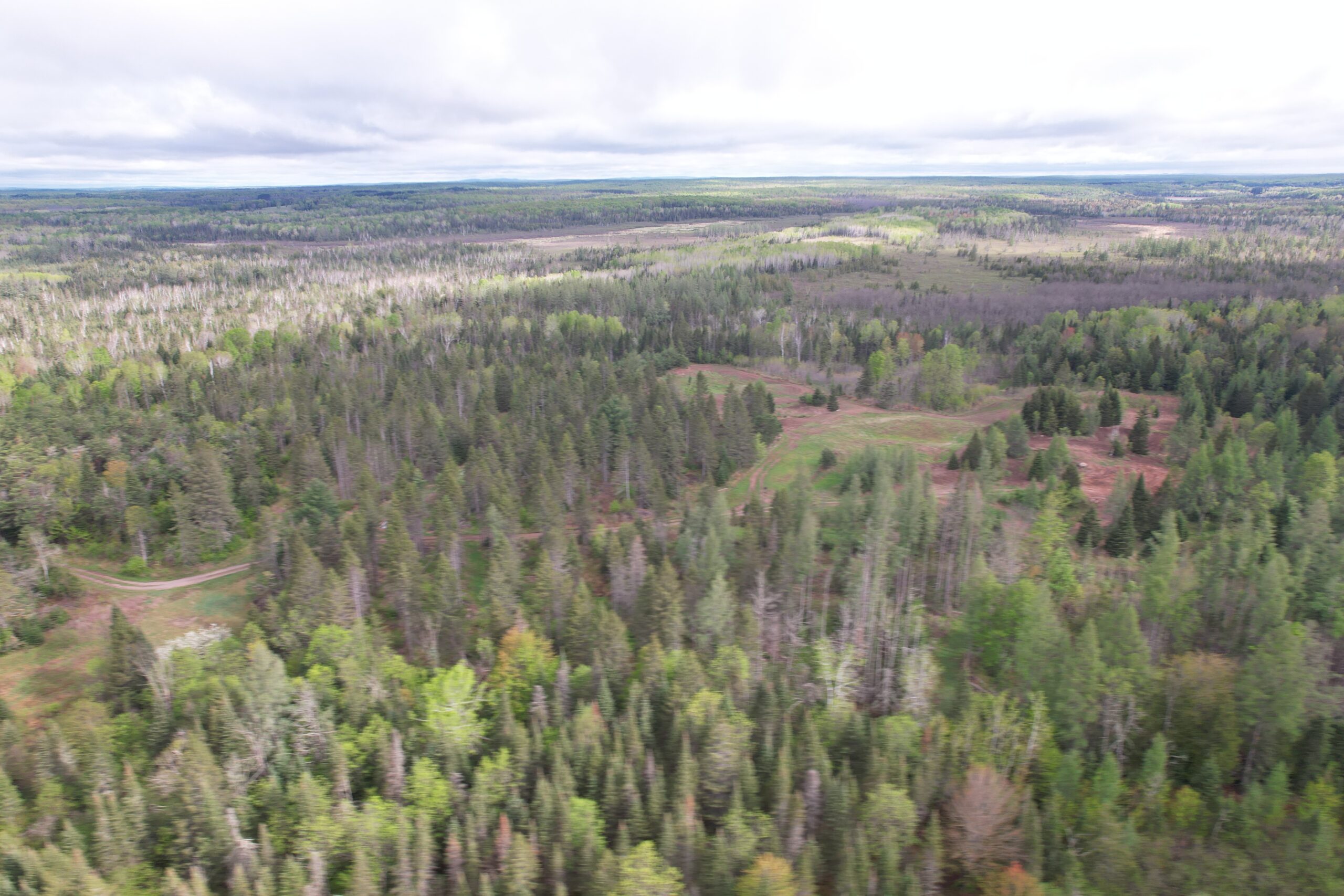 Acreage for Sale in Butternut, Wisconsin