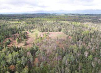 Acreage for Sale in Butternut, Wisconsin