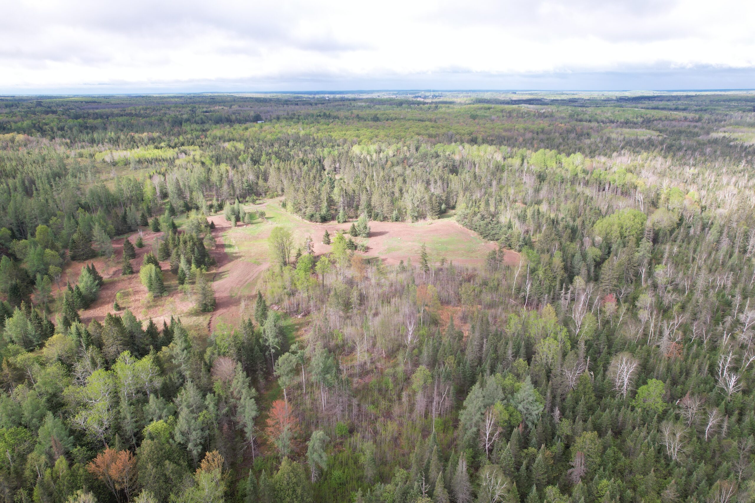Acreage for Sale in Butternut, Wisconsin
