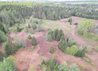 Acreage for Sale in Butternut, Wisconsin