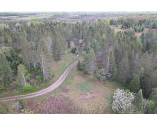 Acreage for Sale in Butternut, Wisconsin