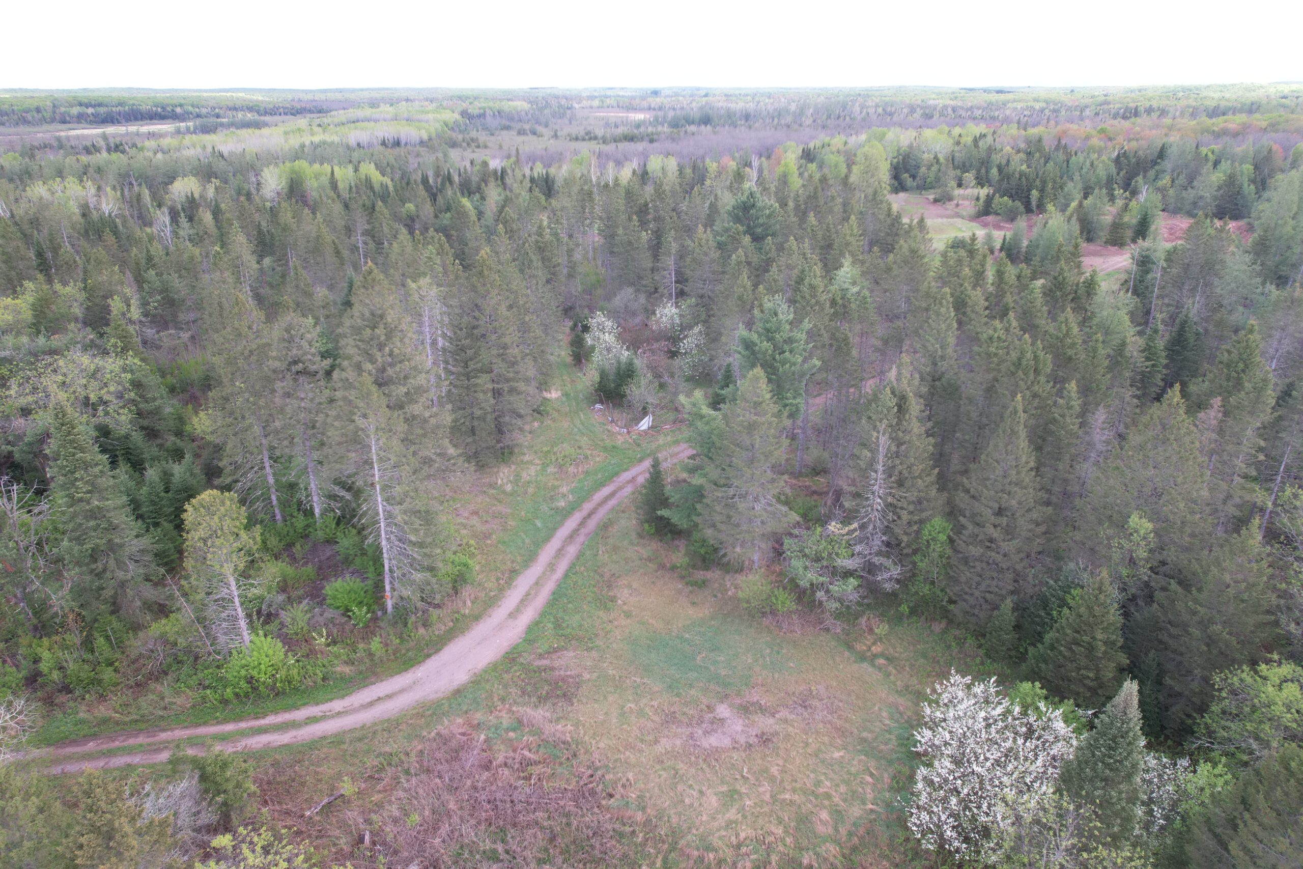 Acreage for Sale in Butternut, Wisconsin