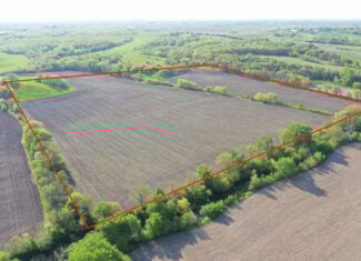 40-Acre Farm with Scenic Views, Ideal Homesite, and Prime Crop Ground