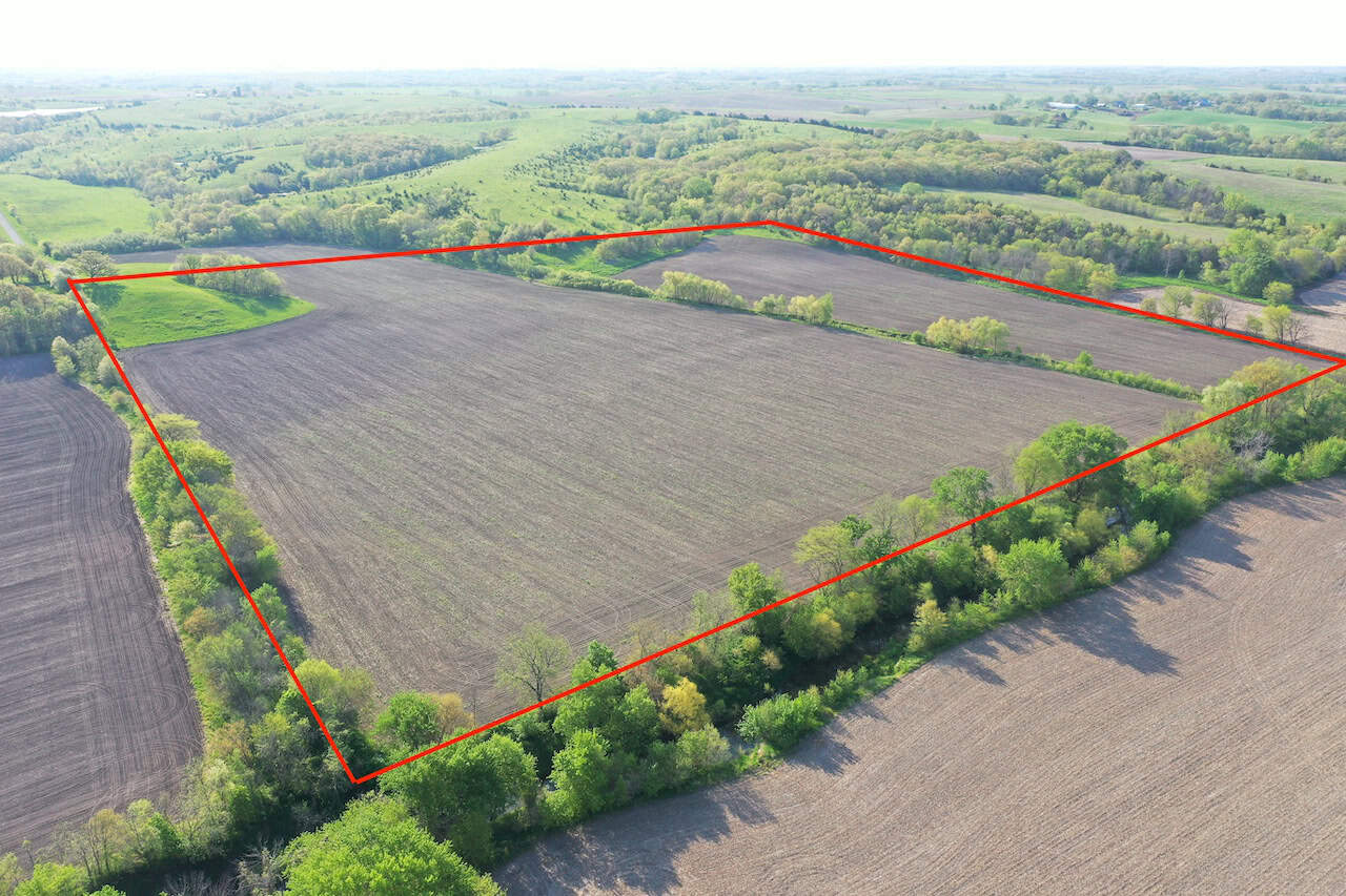 40-Acre Farm with Scenic Views, Ideal Homesite, and Prime Crop Ground