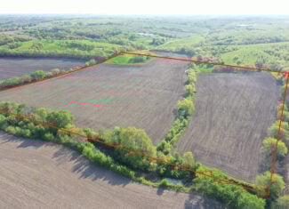 40-Acre Farm with Scenic Views, Ideal Homesite, and Prime Crop Ground