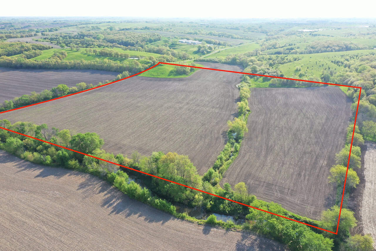 40-Acre Farm with Scenic Views, Ideal Homesite, and Prime Crop Ground