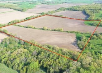 40-Acre Farm with Scenic Views, Ideal Homesite, and Prime Crop Ground