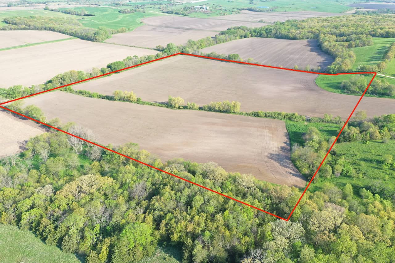 40-Acre Farm with Scenic Views, Ideal Homesite, and Prime Crop Ground