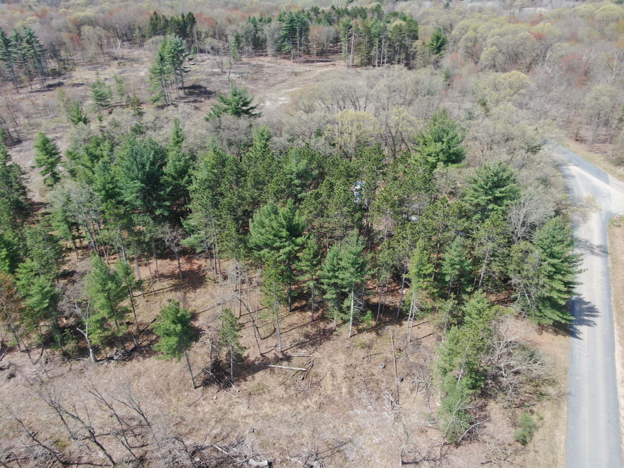 20.41 Acre Sportsman Paradise Juneau County WI