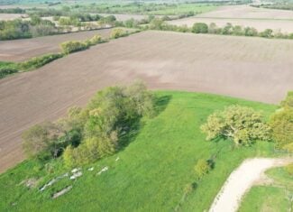 40-Acre Farm with Scenic Views, Ideal Homesite, and Prime Crop Ground