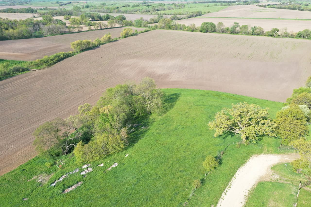 40-Acre Farm with Scenic Views, Ideal Homesite, and Prime Crop Ground