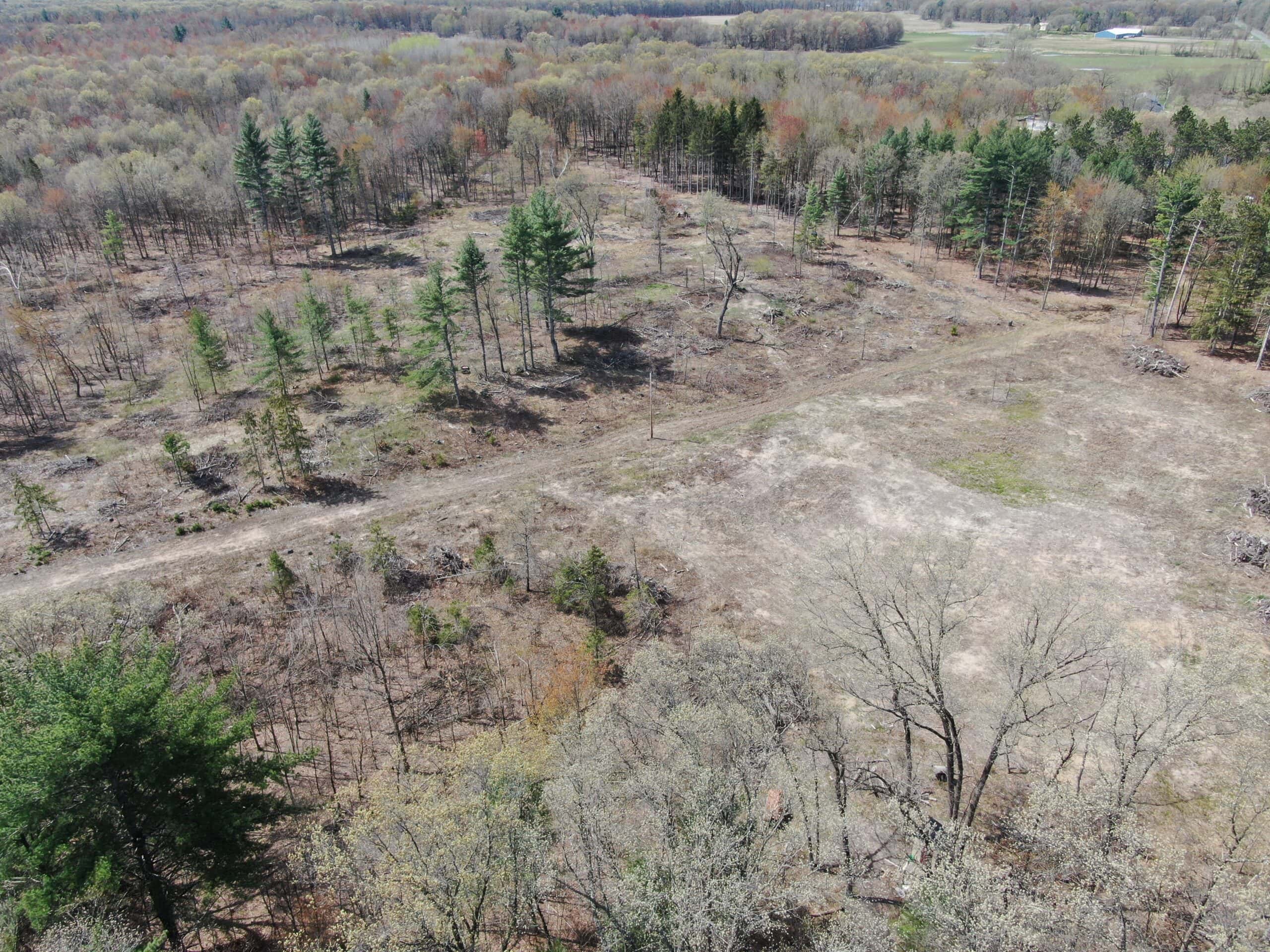 20.41 Acre Sportsman Paradise Juneau County WI
