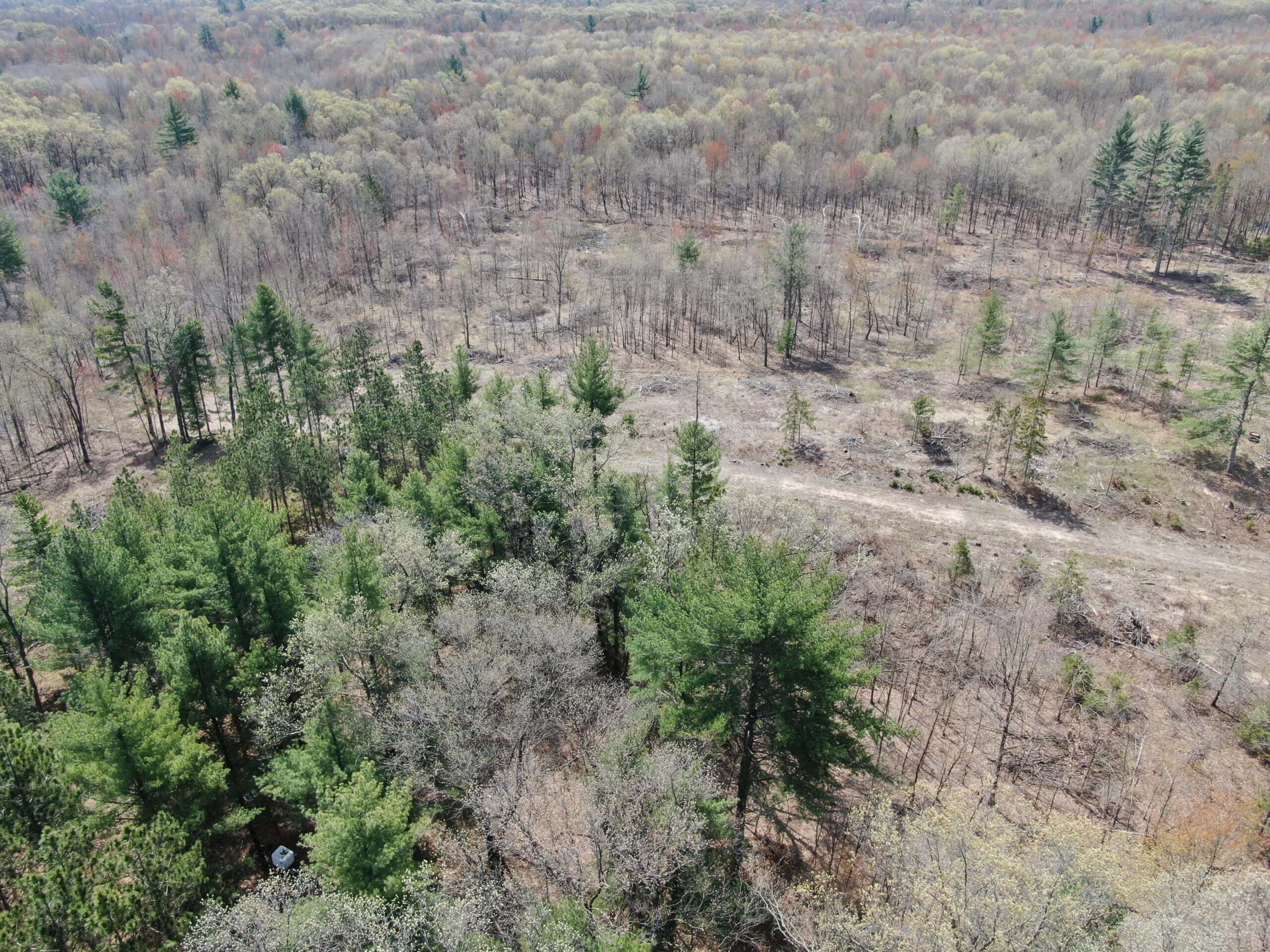 20.41 Acre Sportsman Paradise Juneau County WI