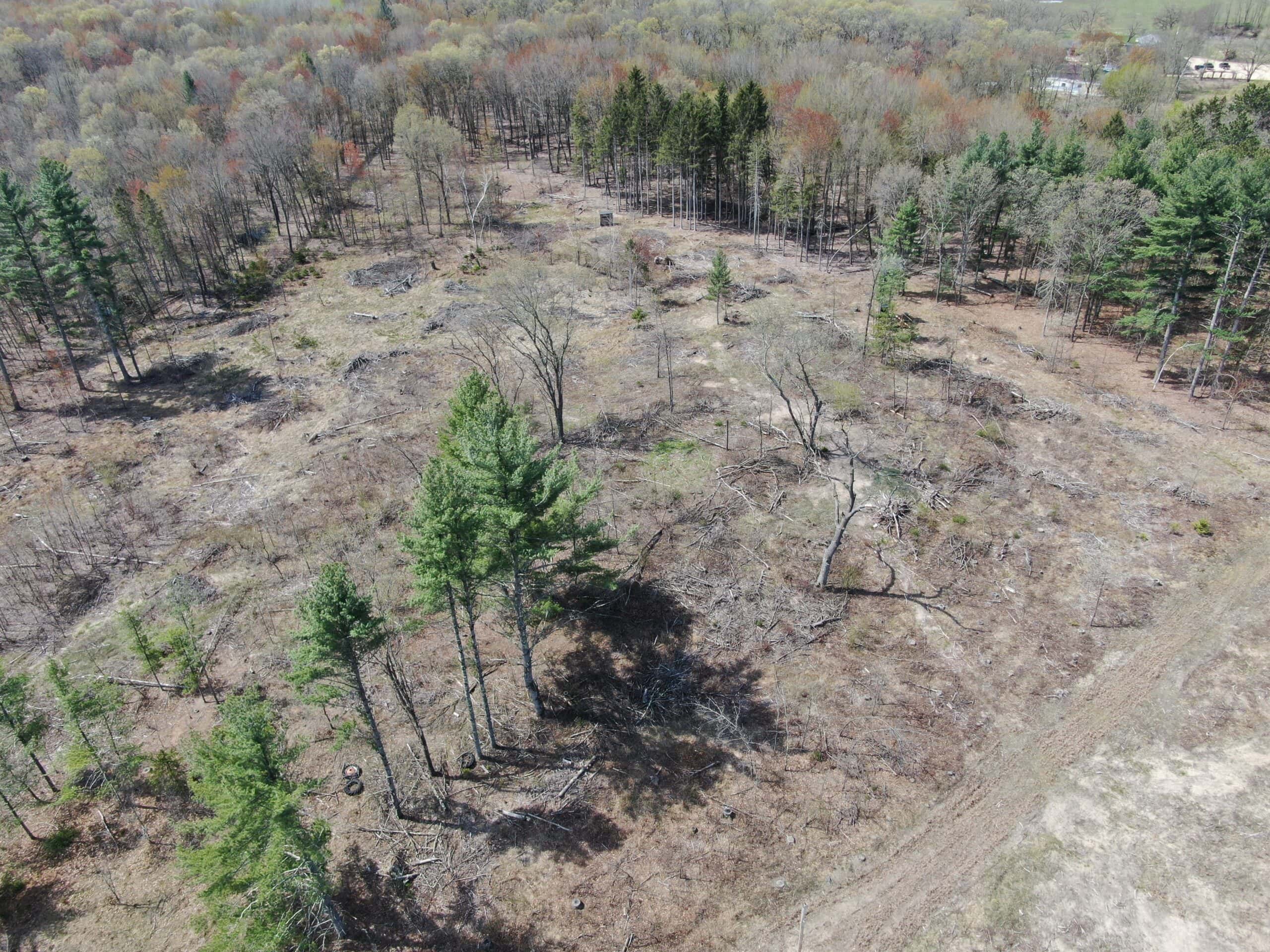 20.41 Acre Sportsman Paradise Juneau County WI