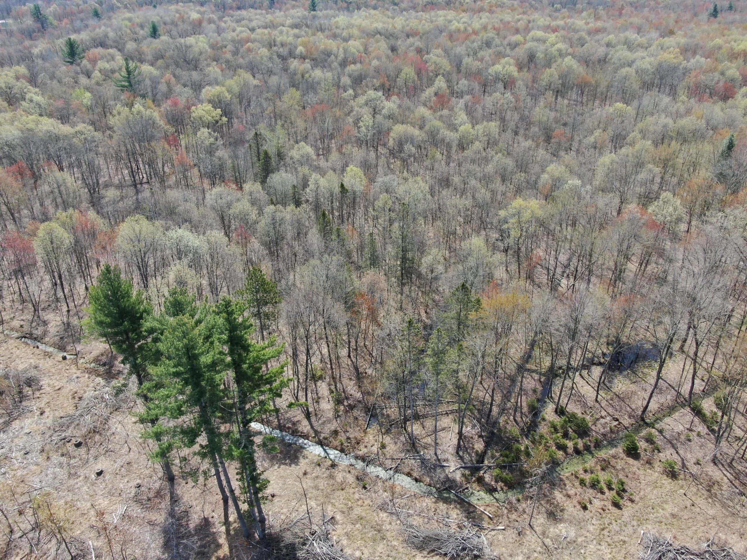 20.41 Acre Sportsman Paradise Juneau County WI