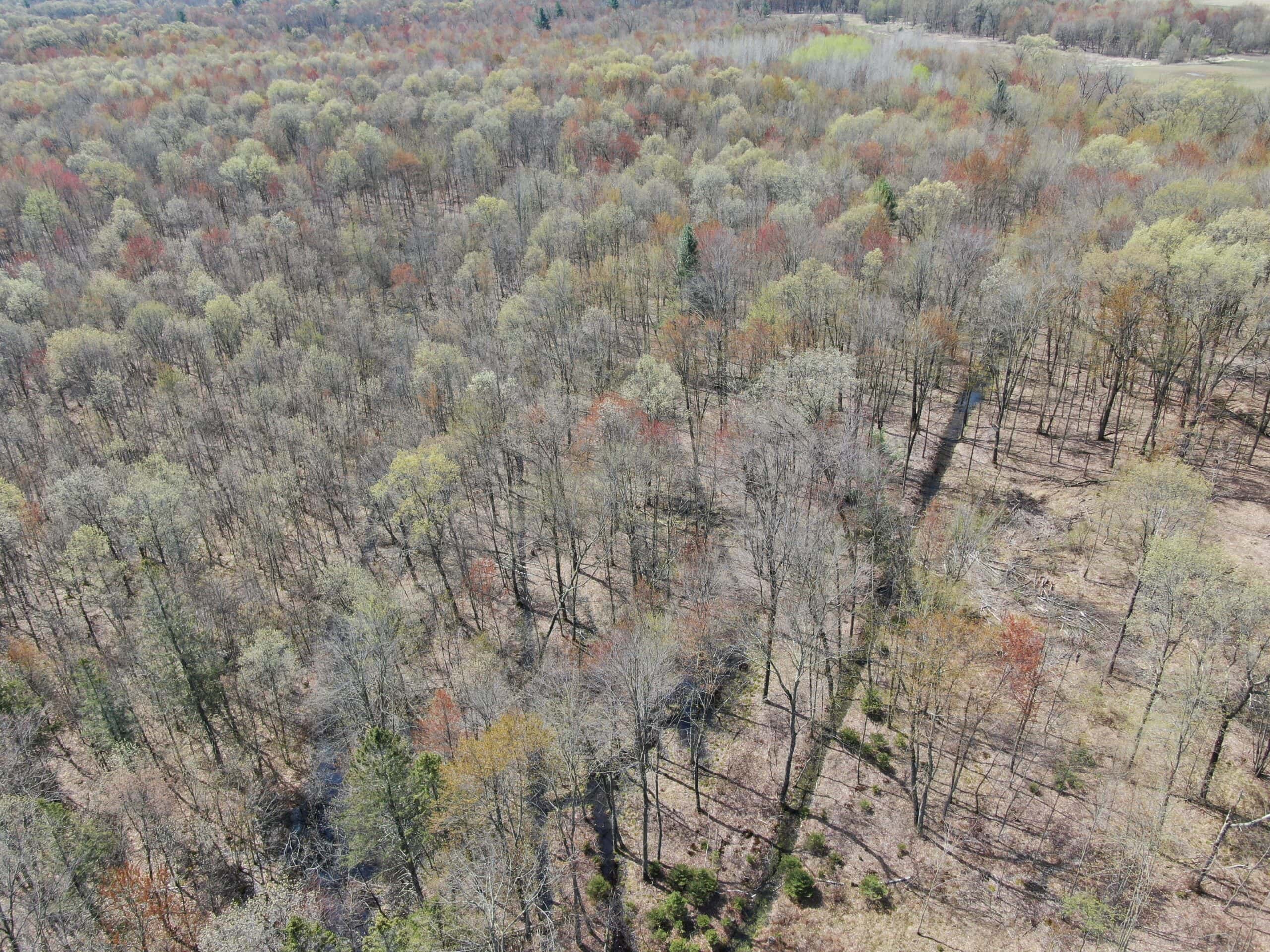 20.41 Acre Sportsman Paradise Juneau County WI