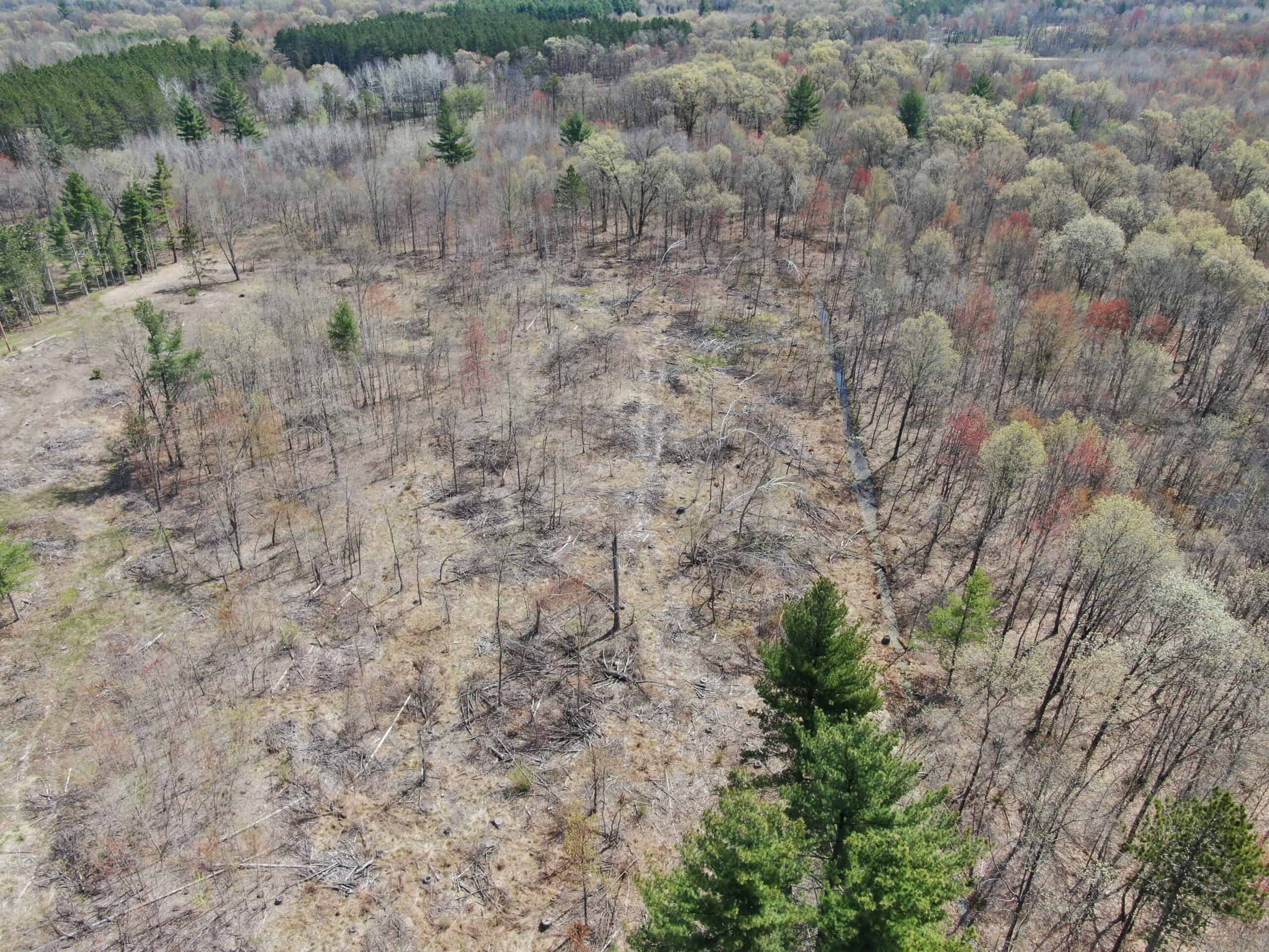 20.41 Acre Sportsman Paradise Juneau County WI