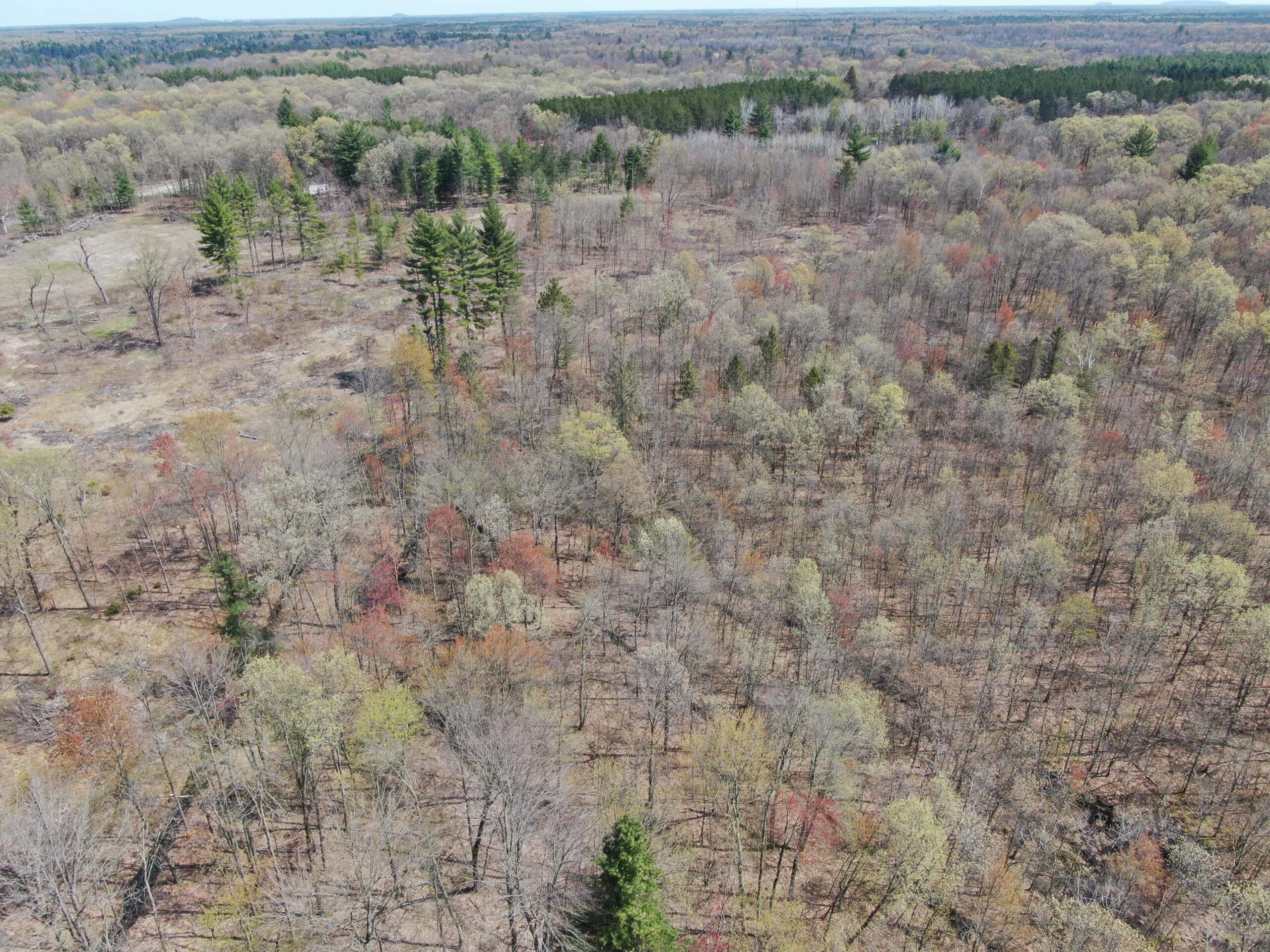 20.41 Acre Sportsman Paradise Juneau County WI