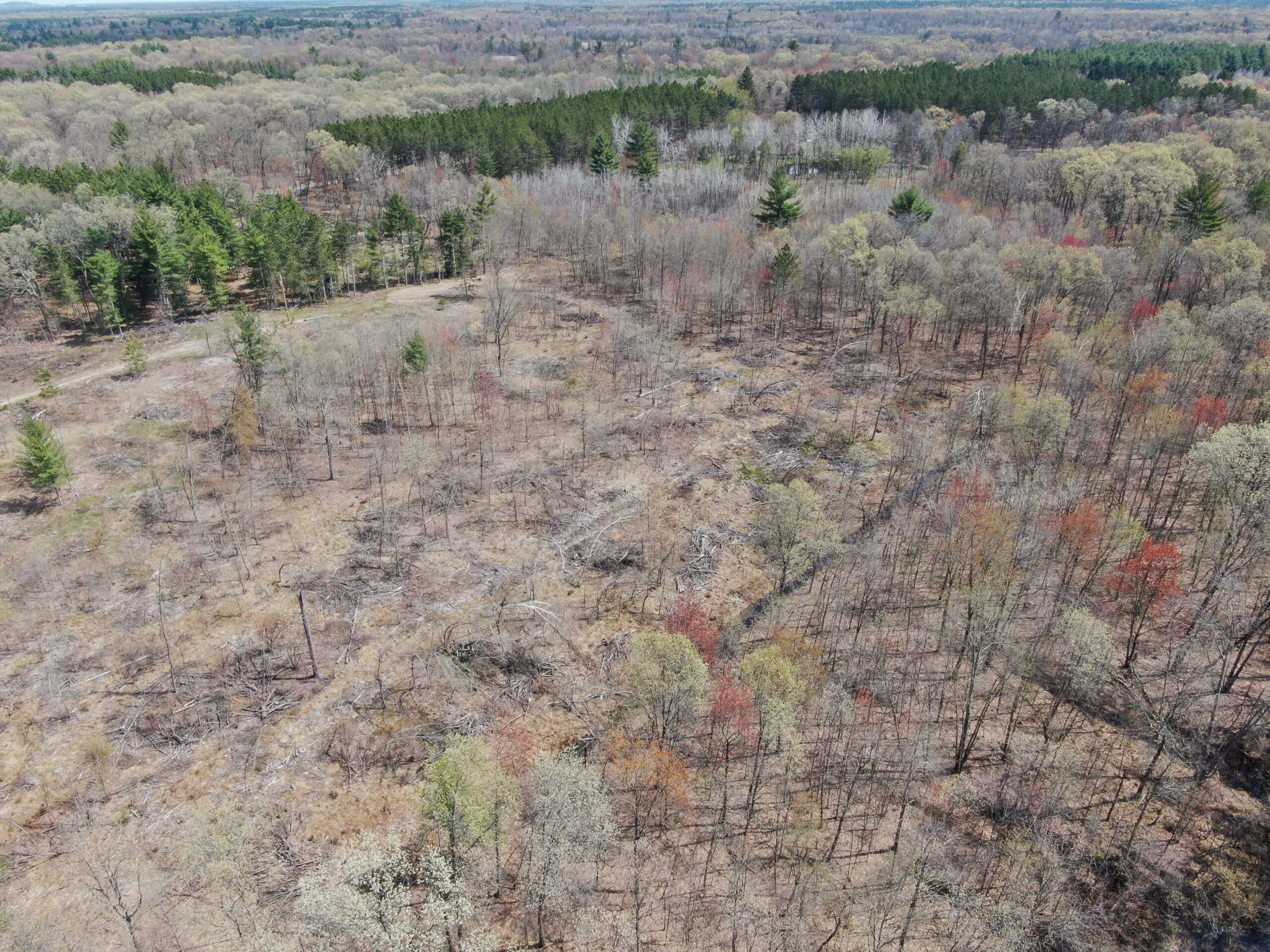 20.41 Acre Sportsman Paradise Juneau County WI