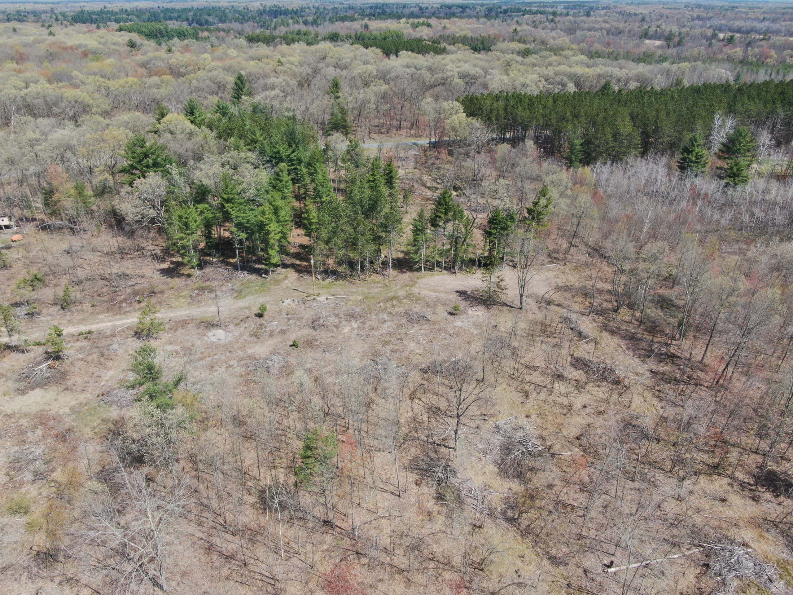 20.41 Acre Sportsman Paradise Juneau County WI