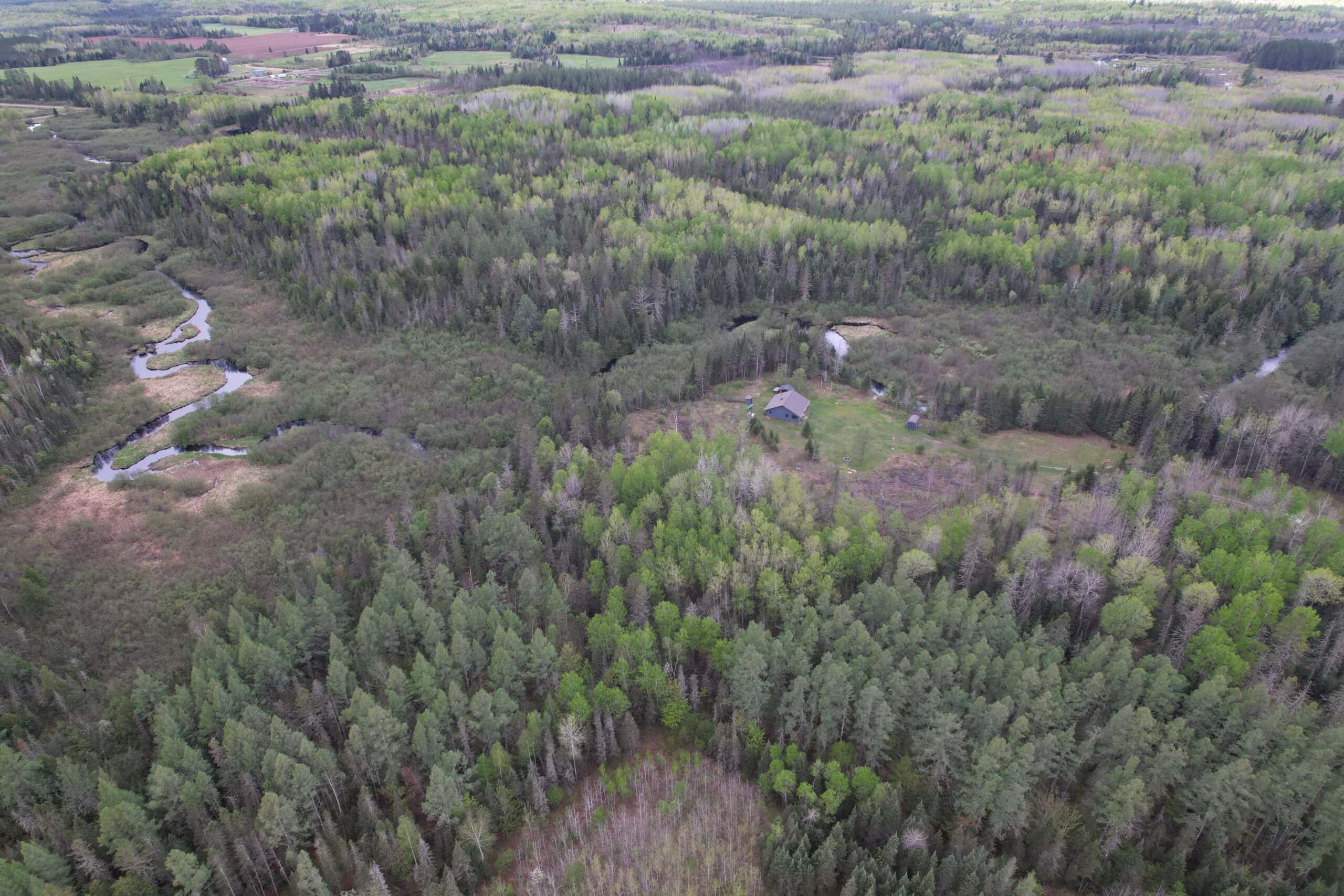 Land with Cabin for Sale in Glidden, Wisconsin