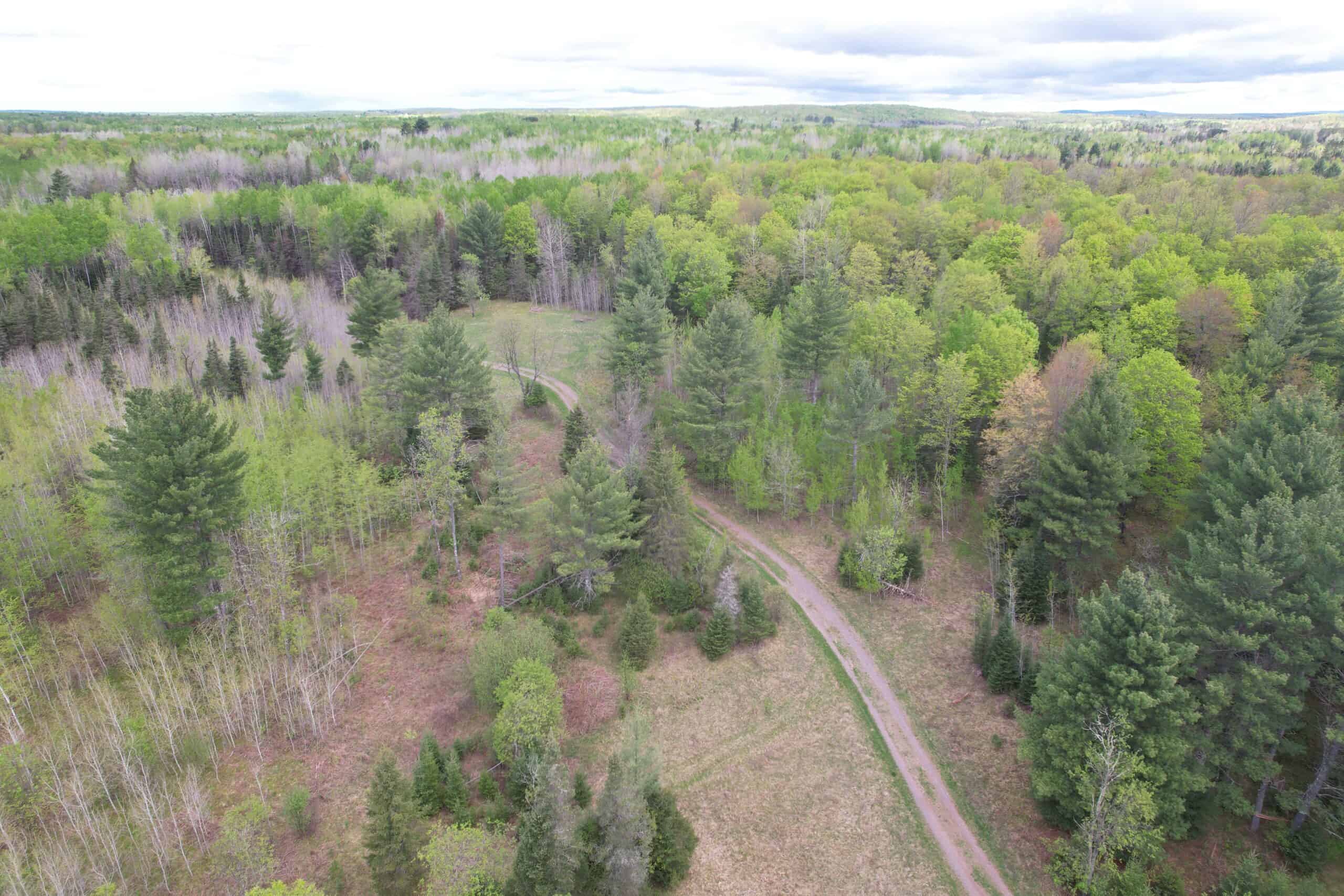 Land with Cabin for Sale in Glidden, Wisconsin