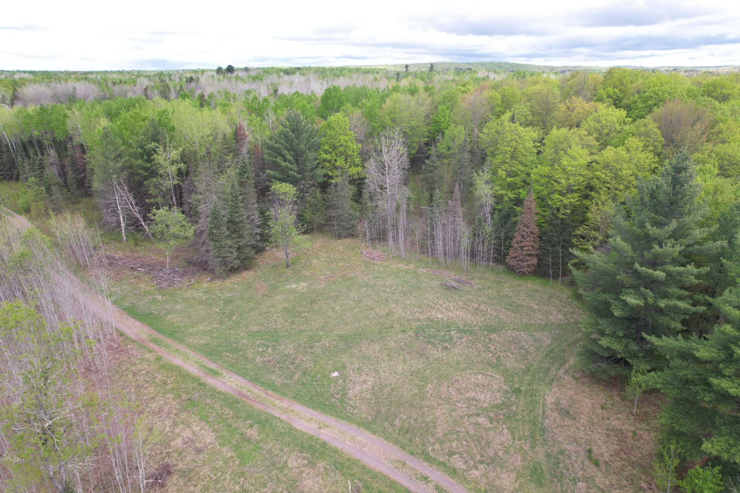 Land with Cabin for Sale in Glidden, Wisconsin