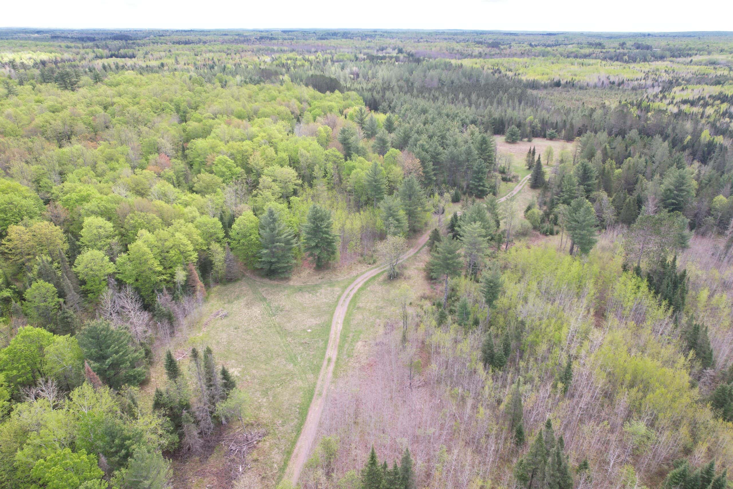 Land with Cabin for Sale in Glidden, Wisconsin