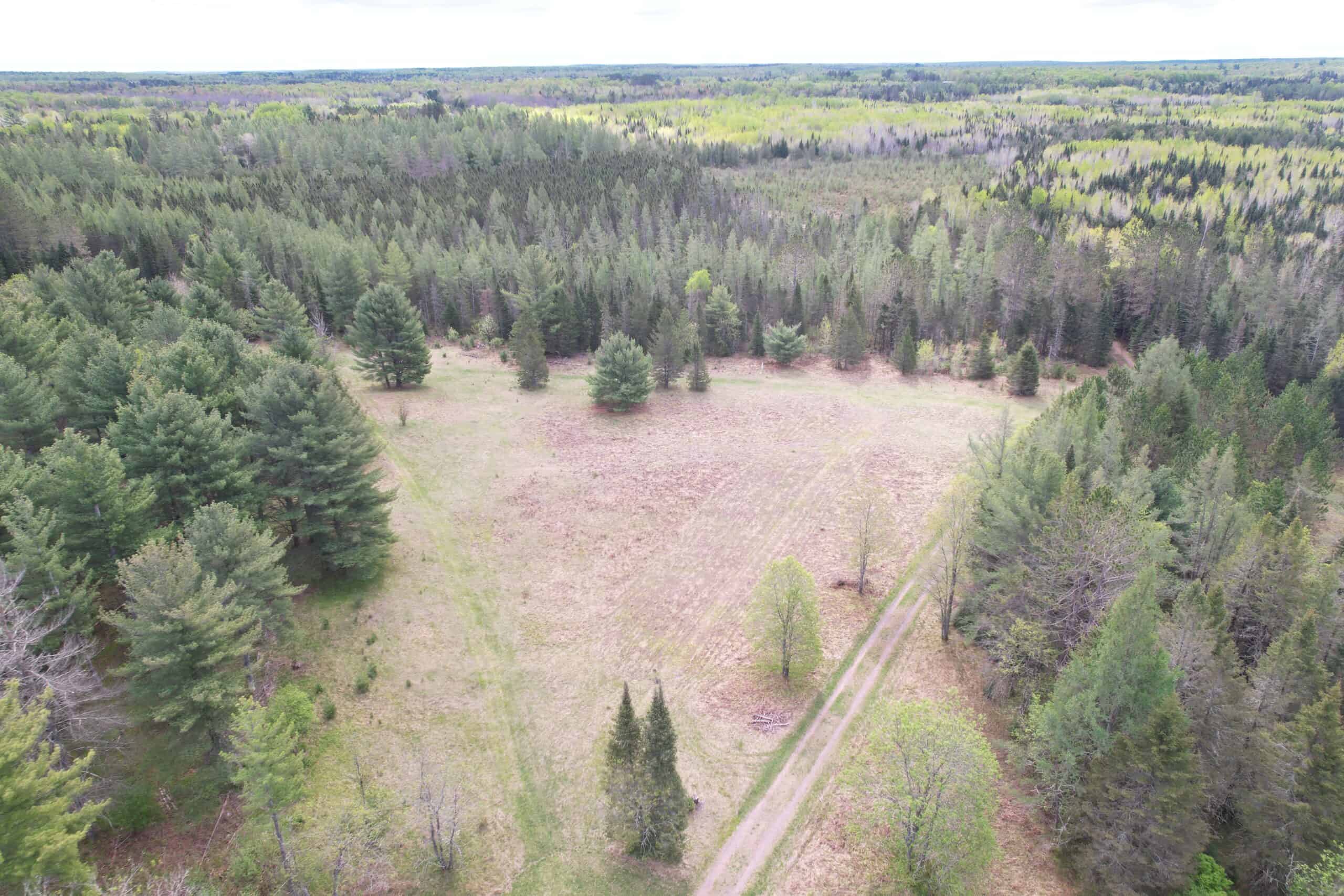 Land with Cabin for Sale in Glidden, Wisconsin