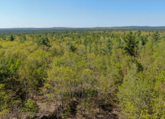 40 Acres of Affordable Maine Land