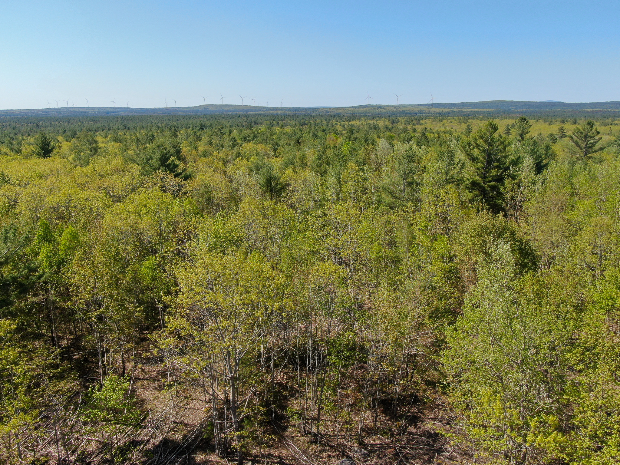 40 Acres of Affordable Maine Land