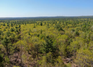 40 Acres of Affordable Maine Land