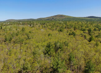 40 Acres of Affordable Maine Land