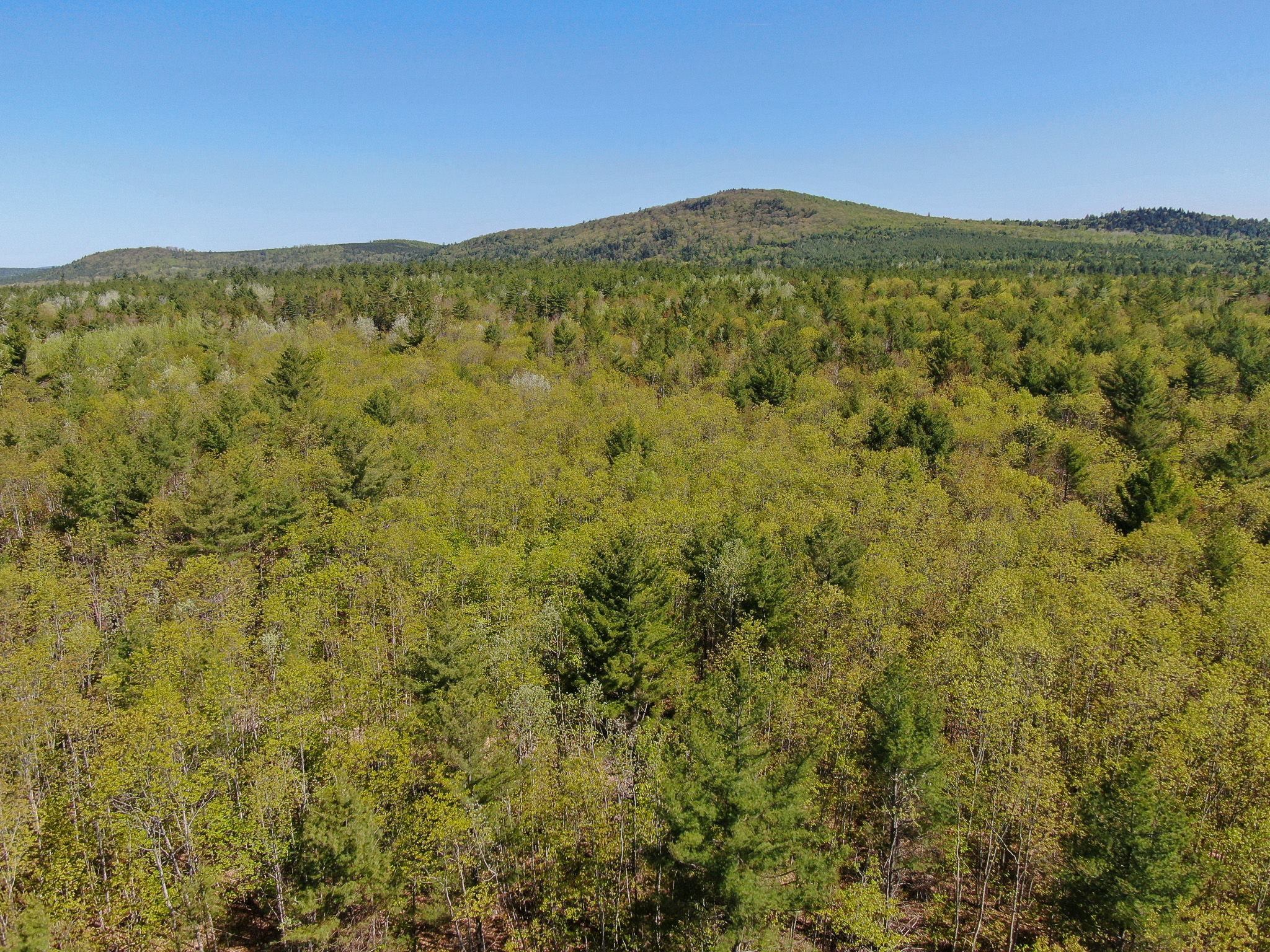 40 Acres of Affordable Maine Land