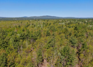 40 Acres of Affordable Maine Land
