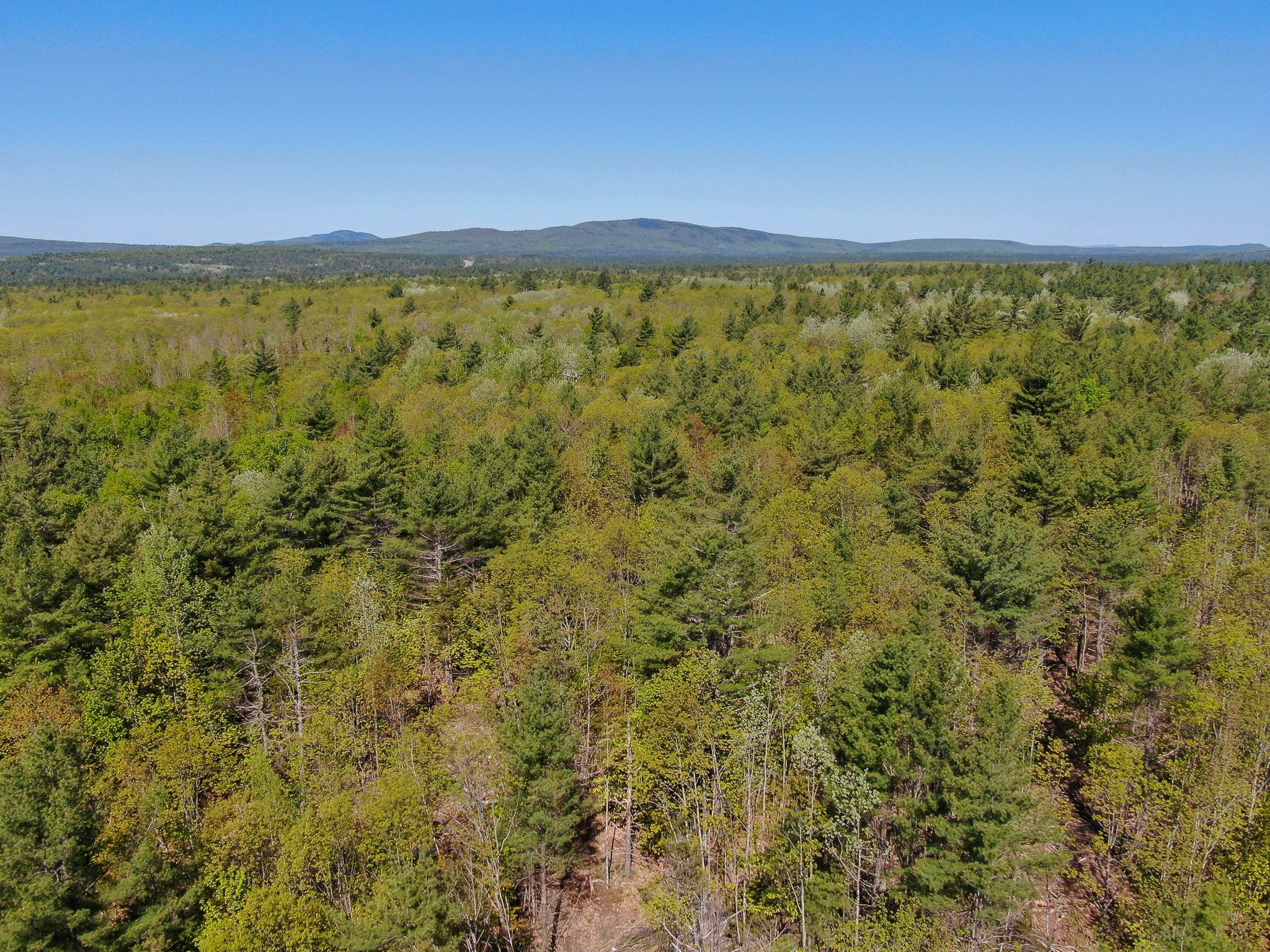 40 Acres of Affordable Maine Land