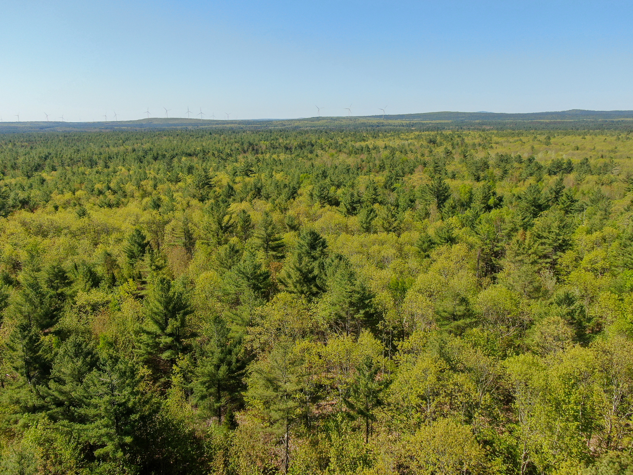 40 Acres of Affordable Maine Land