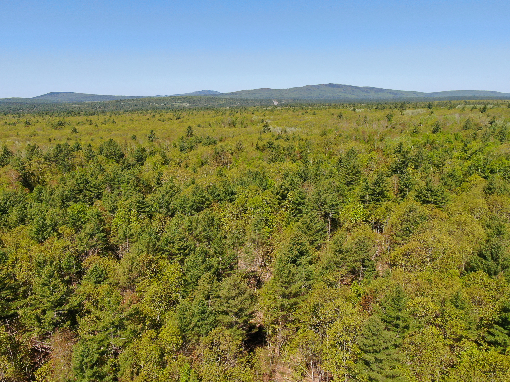 40 Acres of Affordable Maine Land