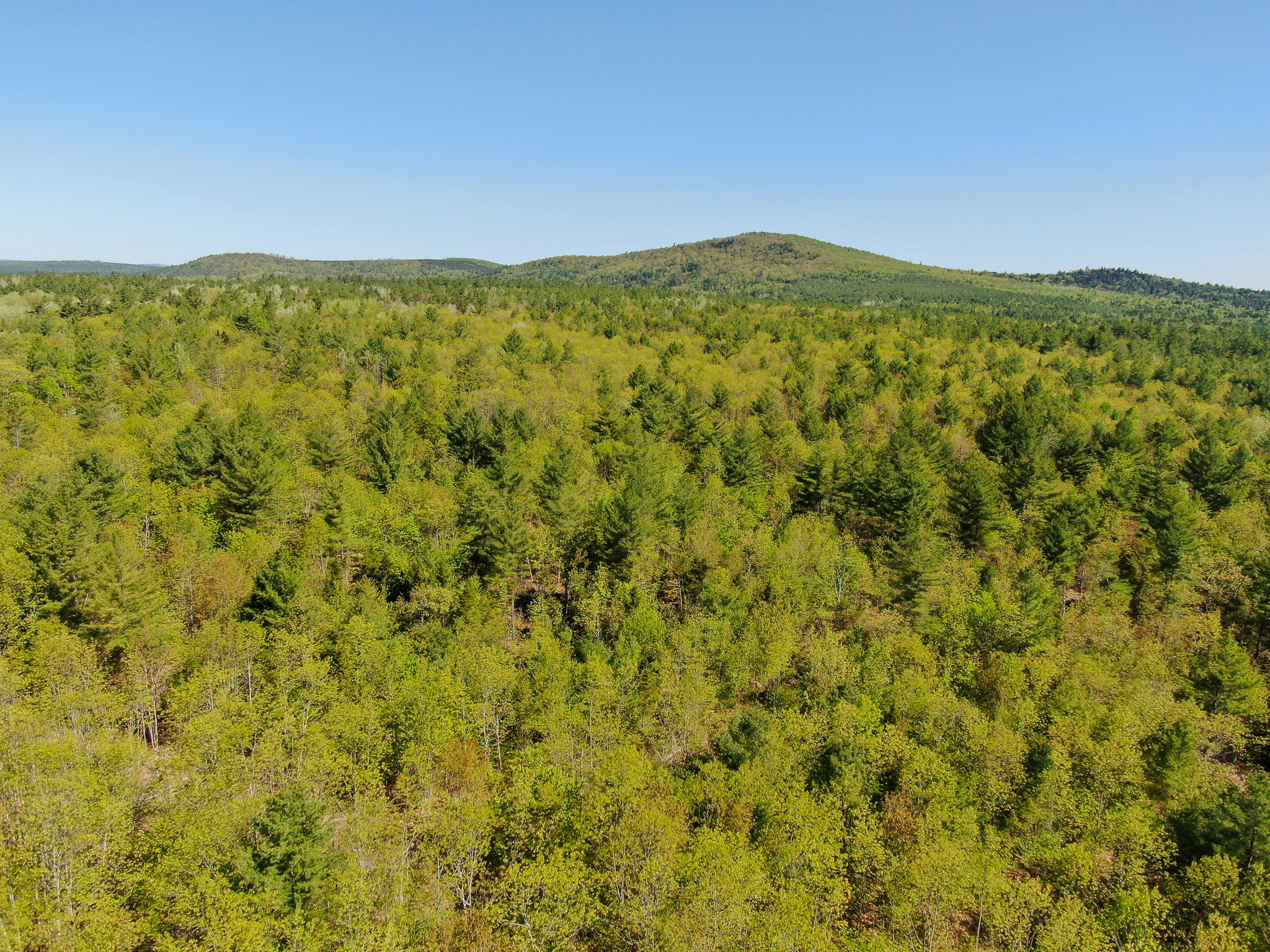 40 Acres of Affordable Maine Land