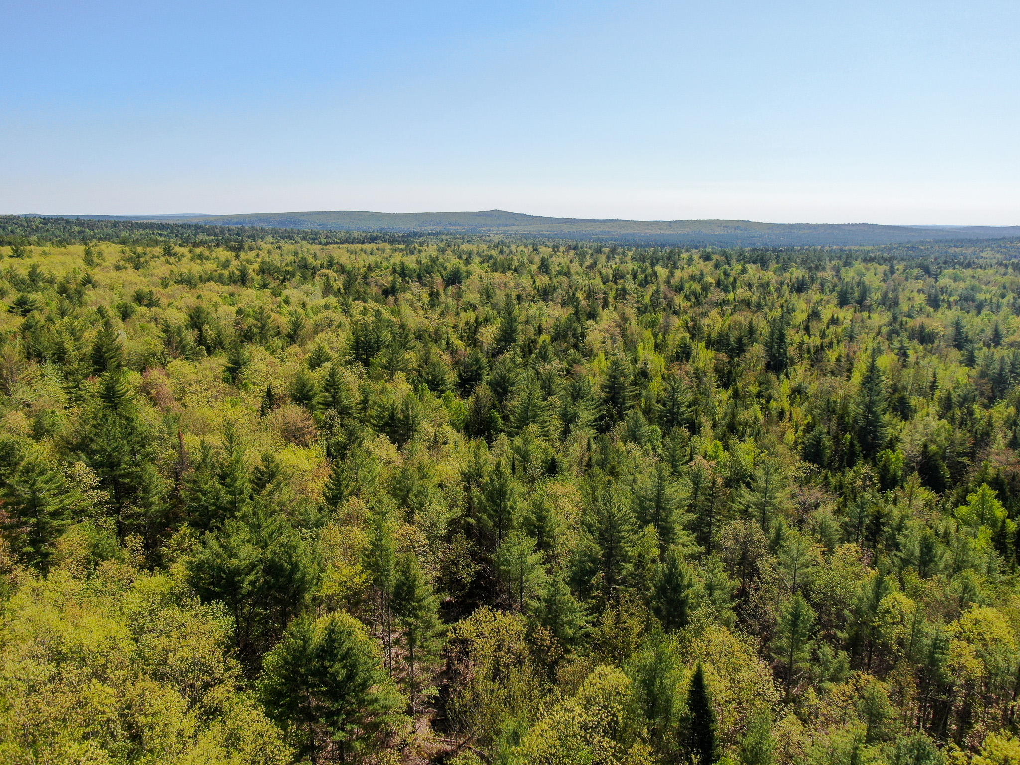 40 Acres of Affordable Maine Land