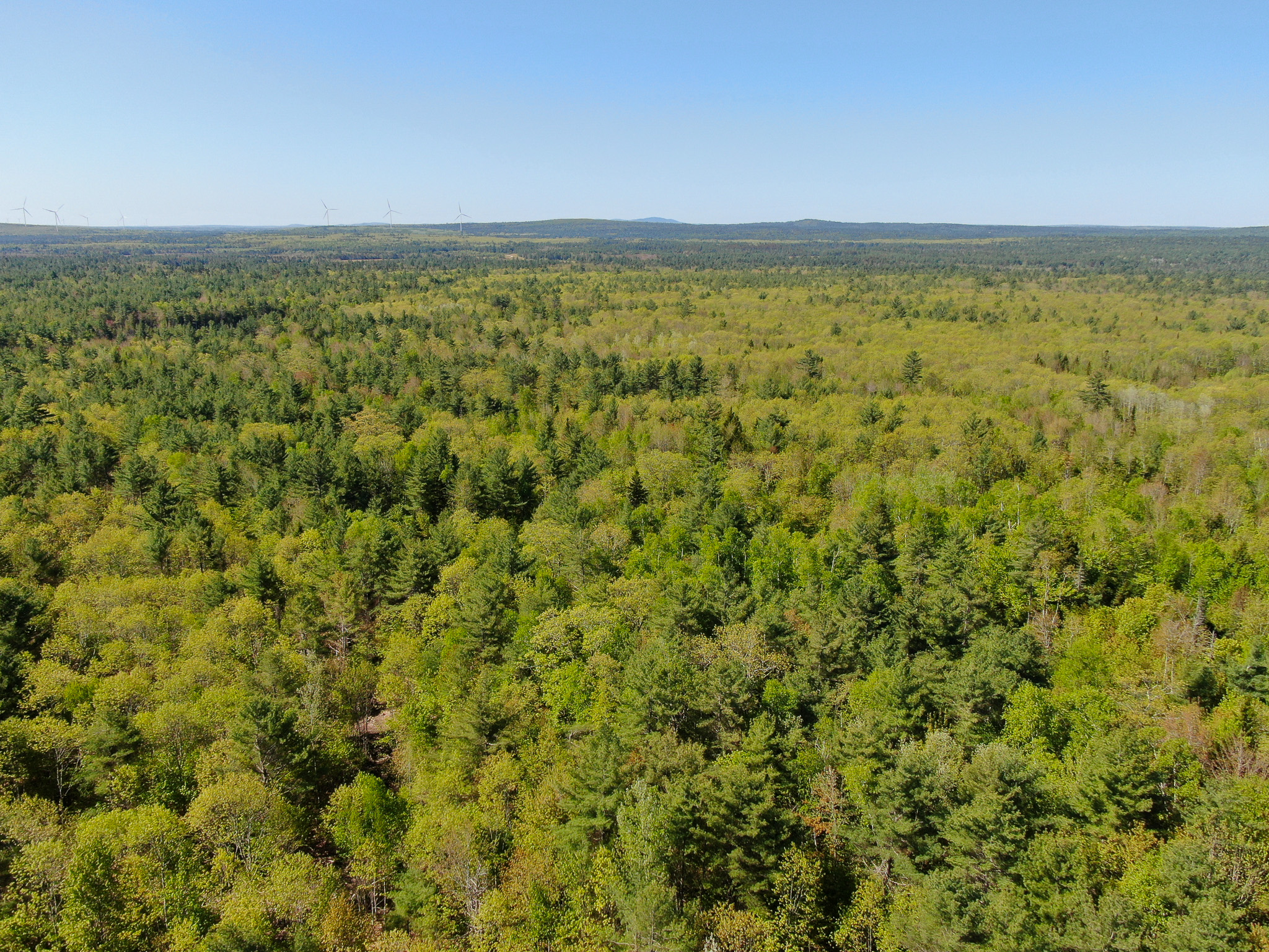 40 Acres of Affordable Maine Land