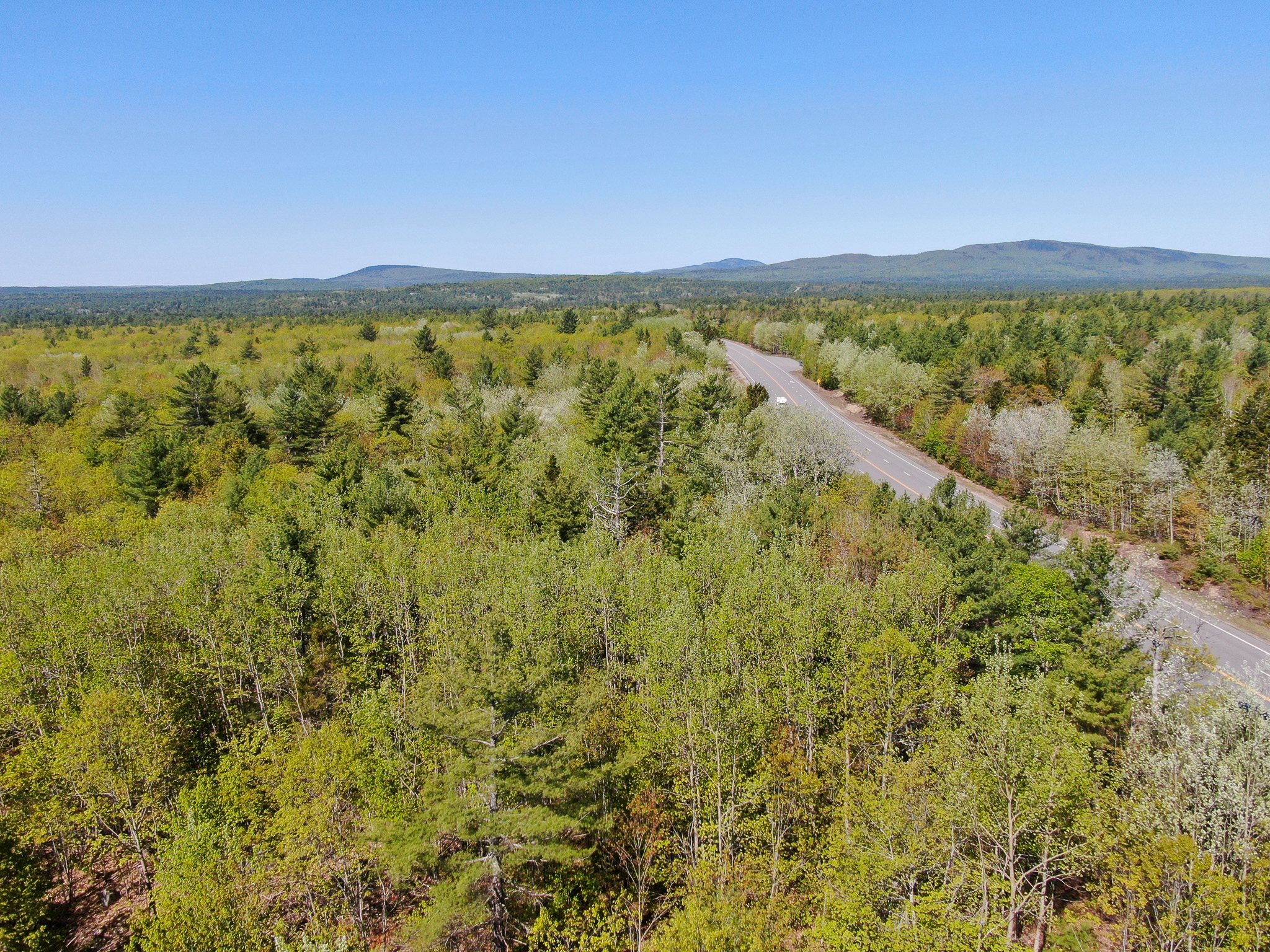 40 Acres of Affordable Maine Land