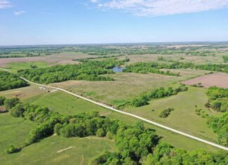 140 Acres m/l with CRP Income, Lake, and Prime Hunting