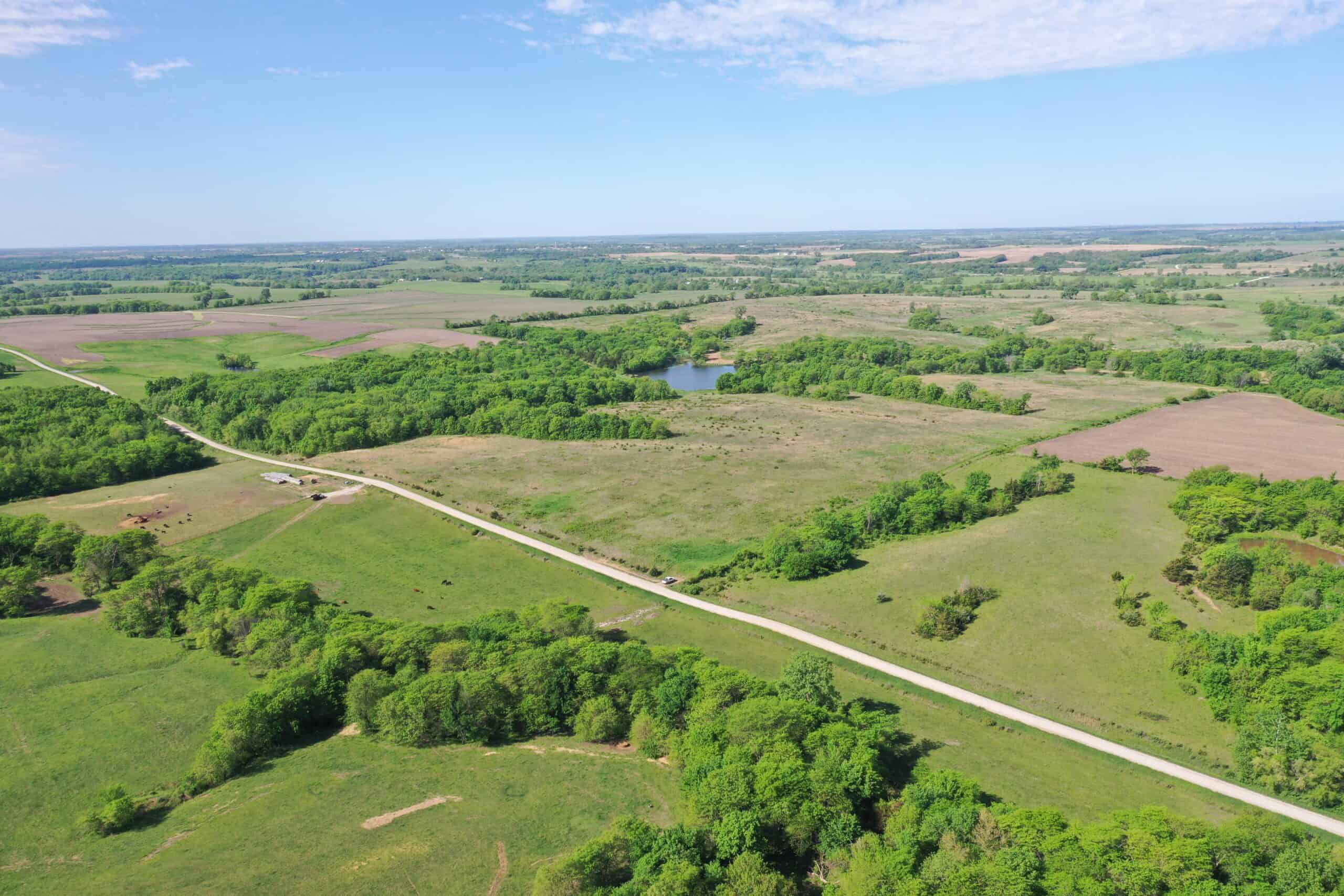 140 Acres m/l with CRP Income, Lake, and Prime Hunting