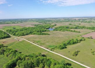 140 Acres m/l with CRP Income, Lake, and Prime Hunting