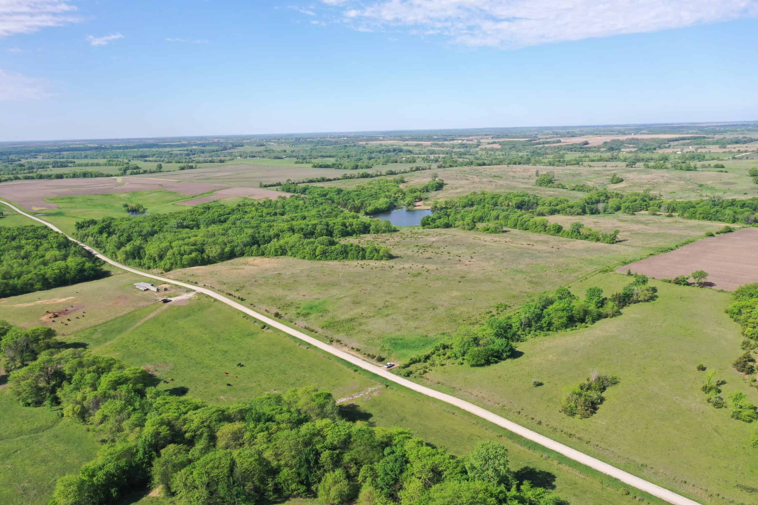 140 Acres m/l with CRP Income, Lake, and Prime Hunting
