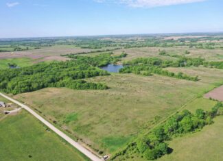 140 Acres m/l with CRP Income, Lake, and Prime Hunting