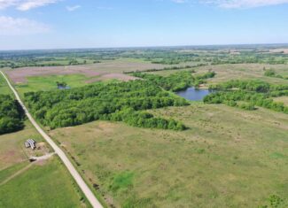 140 Acres m/l with CRP Income, Lake, and Prime Hunting