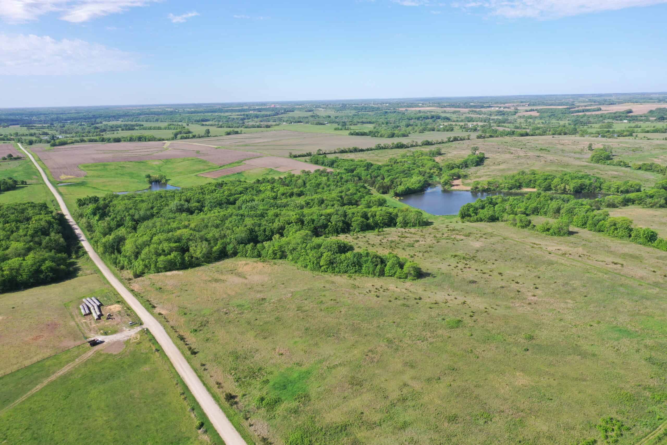 140 Acres m/l with CRP Income, Lake, and Prime Hunting